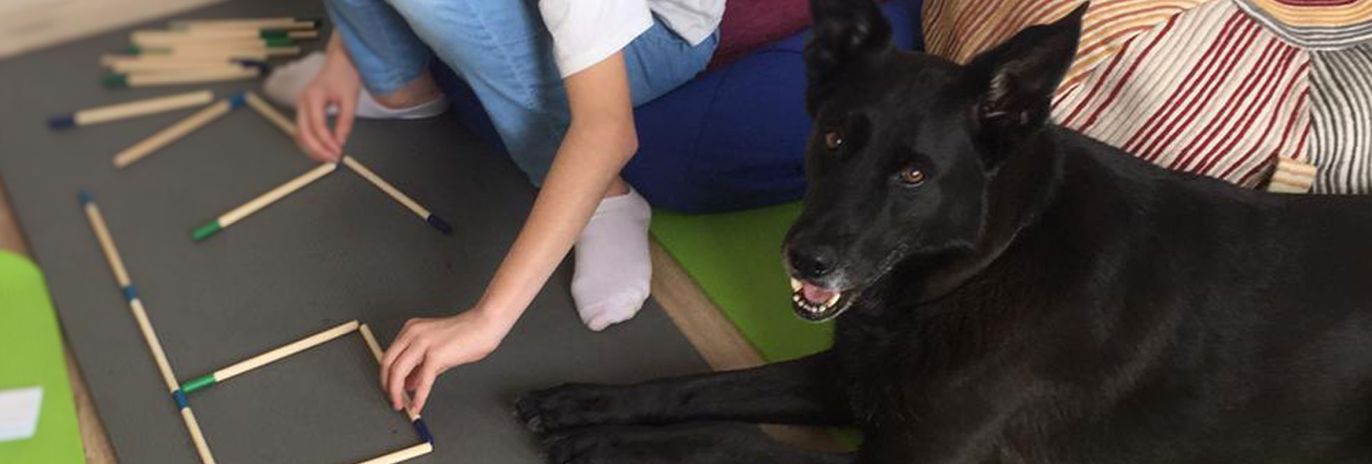 Hund und Kind