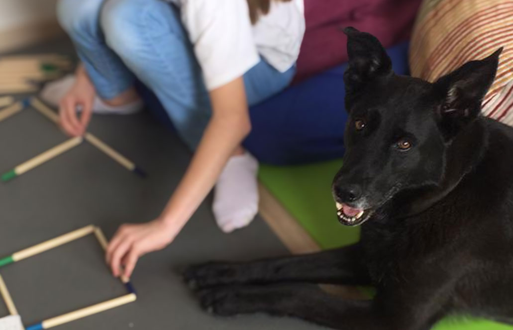 tiergestützte Lerntherapie Hund und Kind